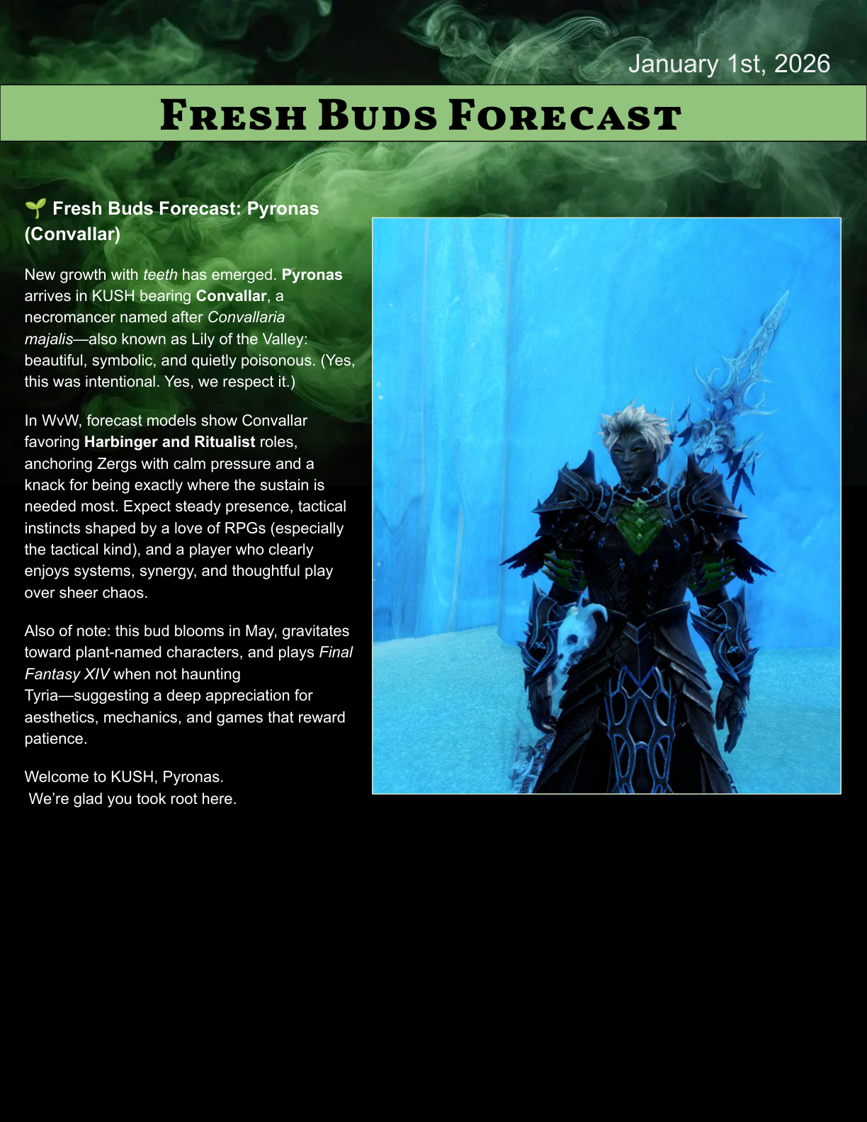 Leaflet page 9