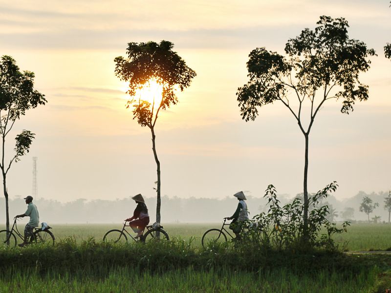 Indonesia, Dikaseva. Unsplash 2019