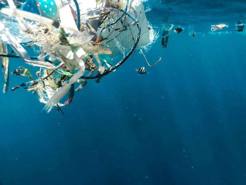 Legislative leadership on environmental issues: Single-use plastic bans