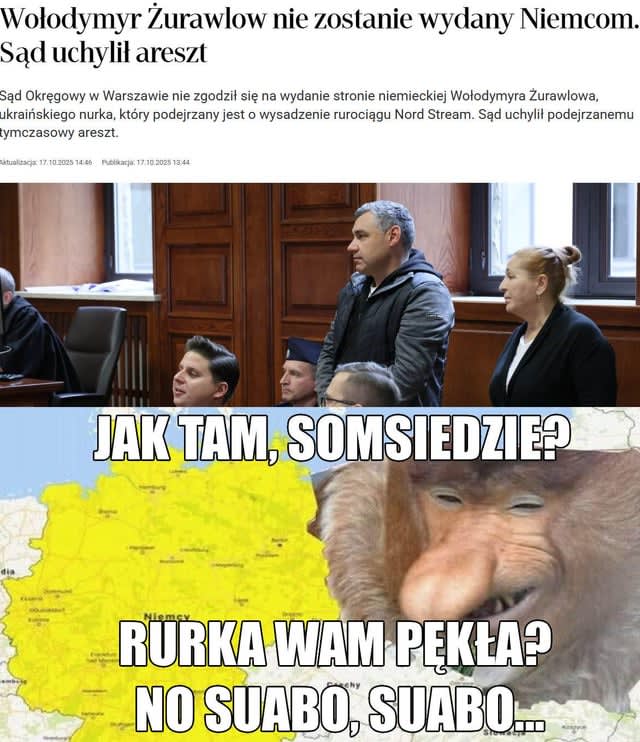 Były błędy formalne we wniosku o ekstradycję, nie mogliśmy nic poradzić ¯\(ツ)/¯