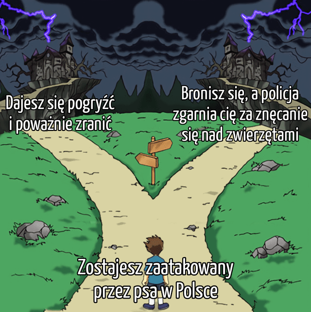 Od razu człowiek czuje się bezpieczniej wychodząc z domu