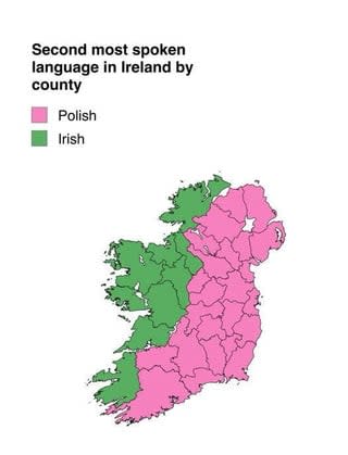 Polski drugim najczęściej używanym językiem wschodniej Irlandii