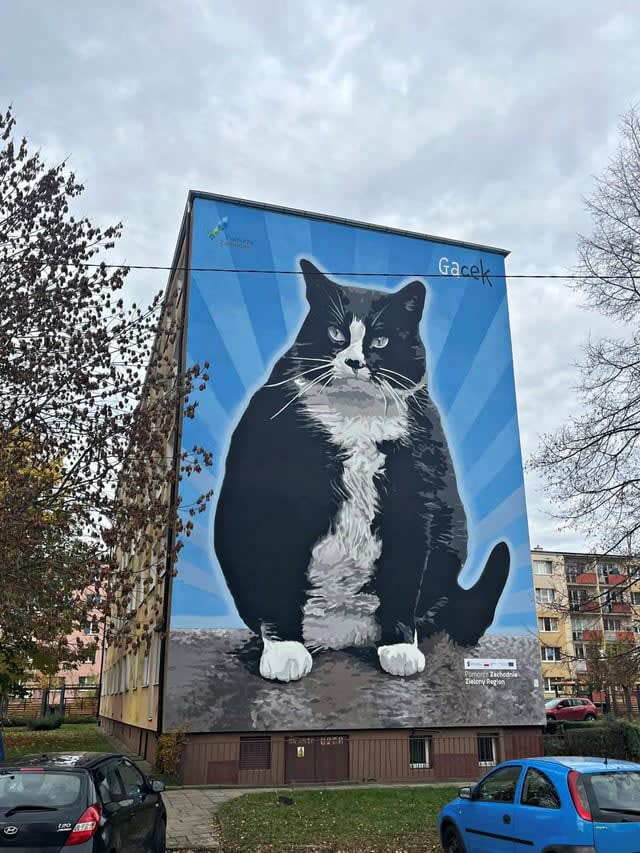 Kot Gacek ma swój mural w Szczecinie