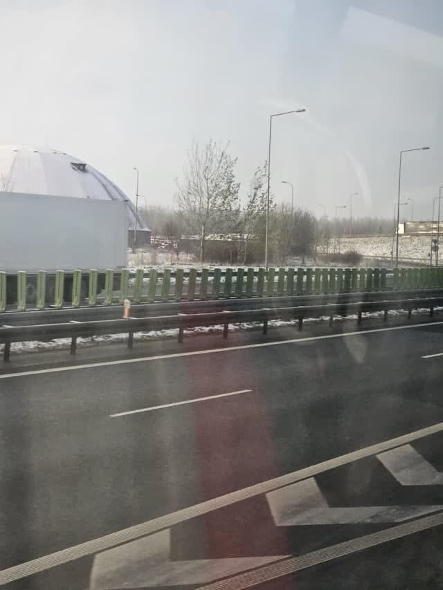 What are these green things on the fence?