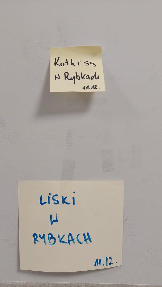 So many questions, so few awnsers?