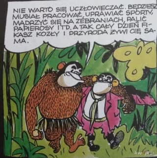 Szukam panelu z Tytusa Romka i ATomka w dobrej jakości