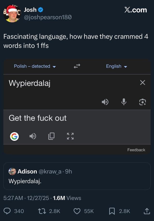 Twitter discovers versatility of Polish