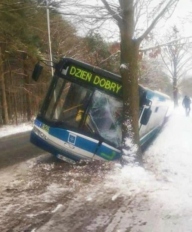 Dzien dobry, i suppose