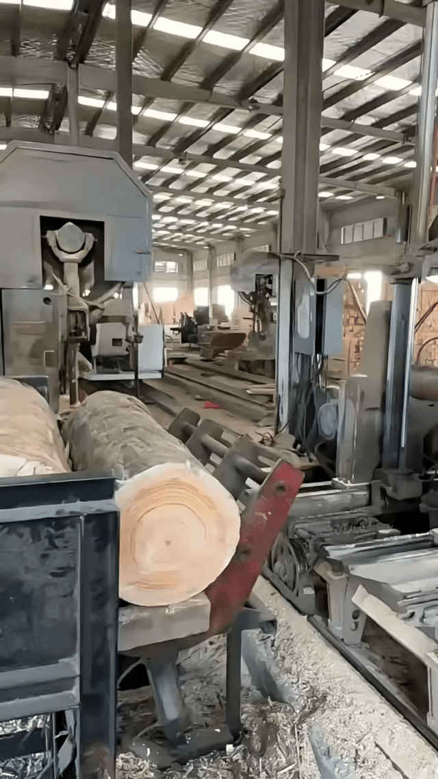 Czy taką fajną maszynę (nawet używkę) można kupić w Polsce?