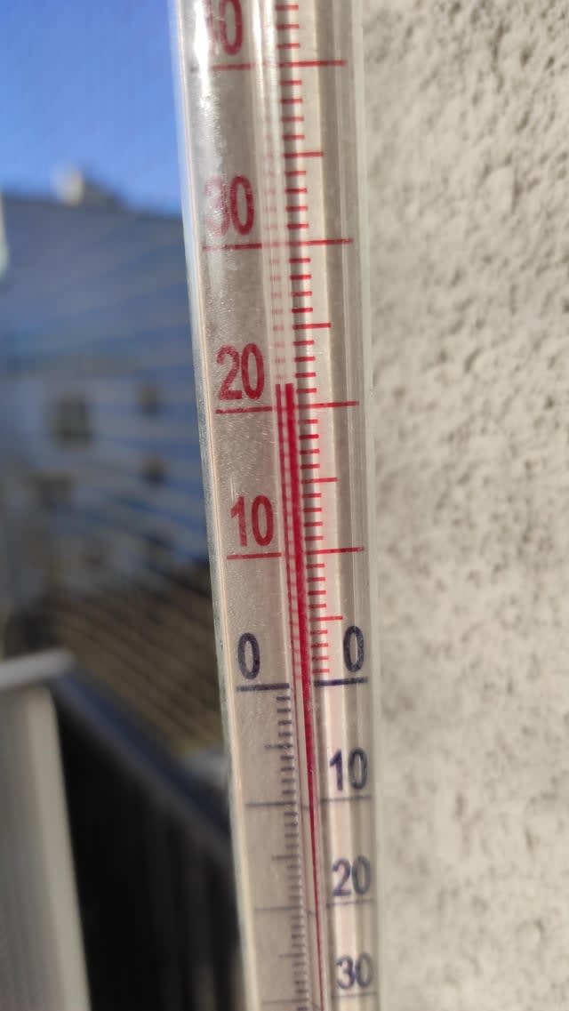 We Wrocławiu jak zwykle słonecznie i wiosennie.