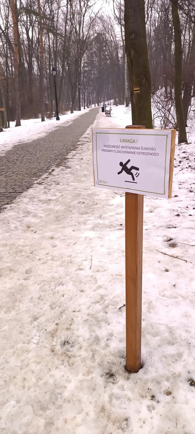 Ciekawostka językowa z Krakowa