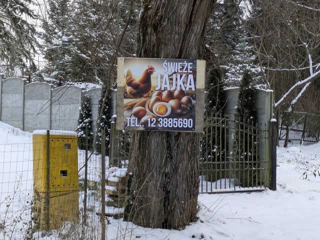 Poland Expects Rapid Economic Growth as Polish Farmers Embrace AI