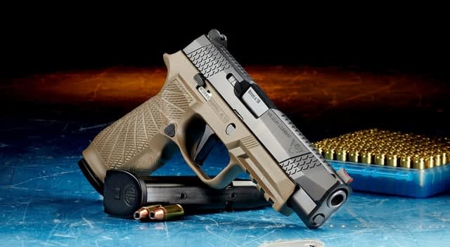 Poland sees record gun permit surge as lawmakers propose tighter rules