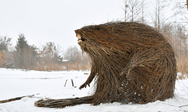 "Bober k***a jakie bydle!"