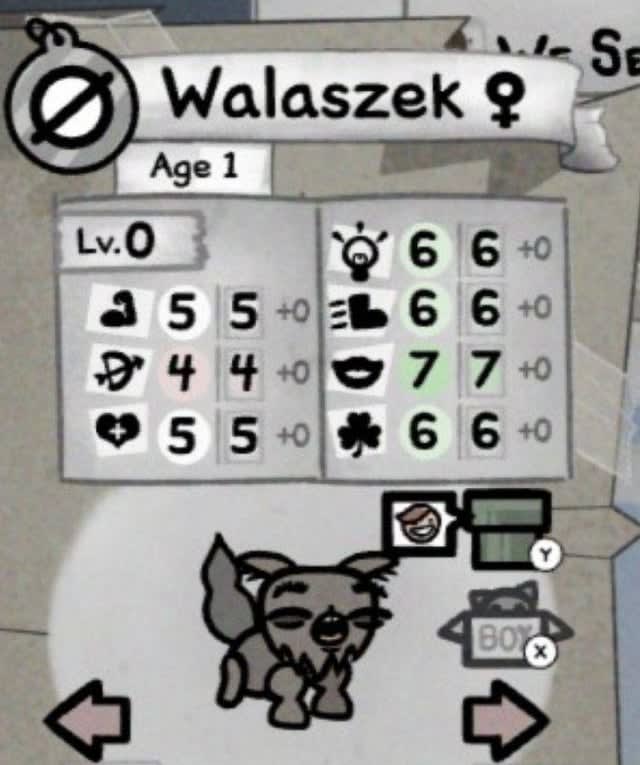 Edmund dał z siebie 30%