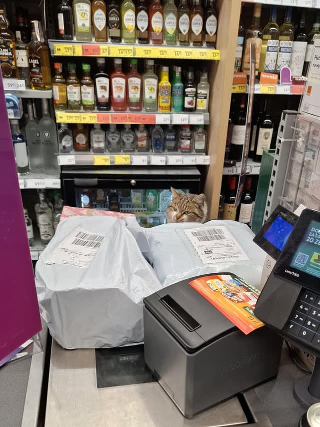 Moja ulubiona kasjerka w żabce 😺 ♥️