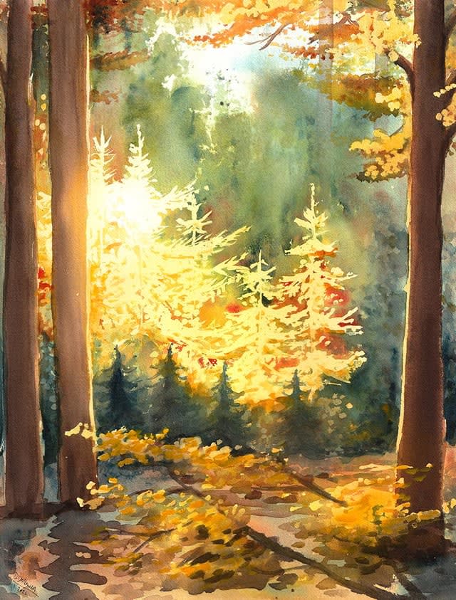 Leśny widoczek, akwarela