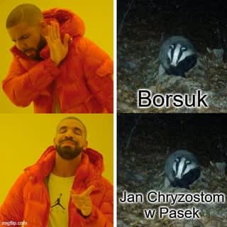 profil fejsbukowy warszawskich łazienek zrobił konkurs na imię mieszkającego w parku borsuka, imię dekady, na luzie