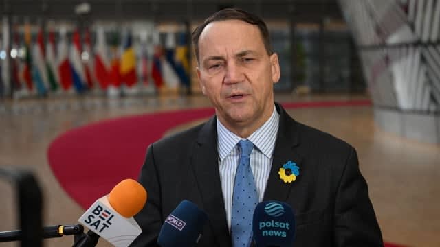 ‘Hungary's attitude to Ukraine is shocking,' says Poland’s Sikorski