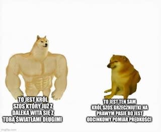 Ostateczne rozwiązanie kwesti poganiaczy z lewego pasa