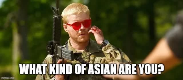 Are Asians accepted in Poland? Poles: