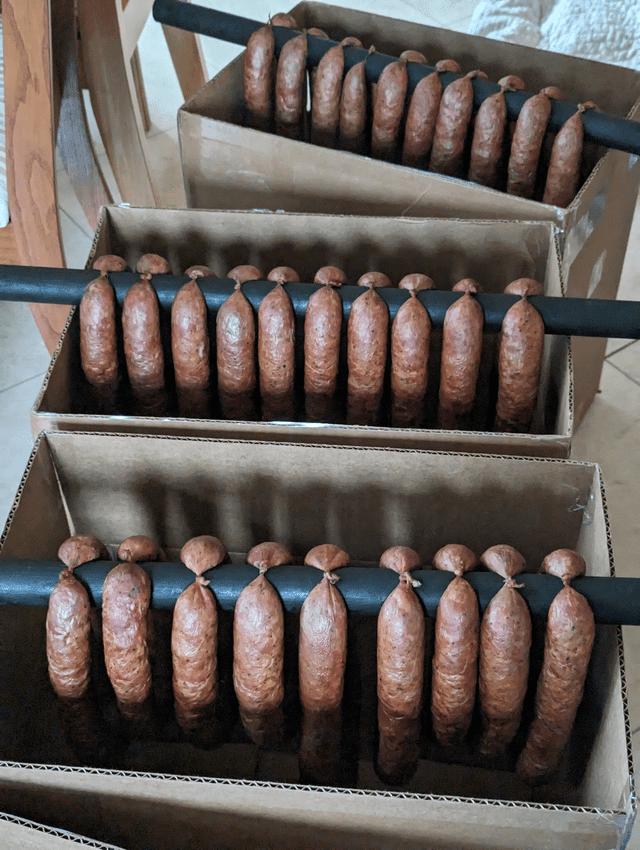 Pork prices drop, time to make wędzona kiełbasa