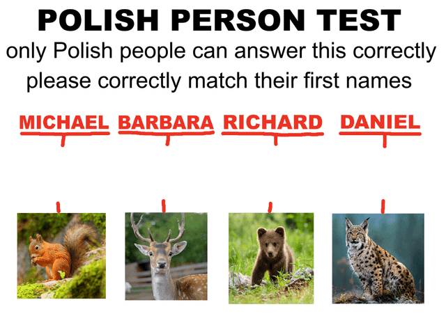 Polish Person Test