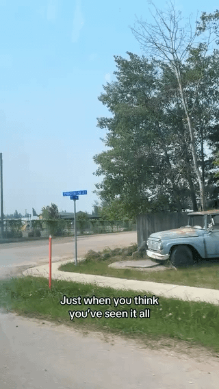 Giant Pieróg in Alberta, Canada