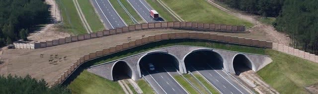 Why are there so many more of these in Poland than elsewhere?