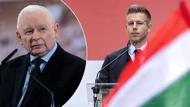 „Upiekł szczeniaka i bił żonę”. Kaczyński obraża Magyara i Węgrów
