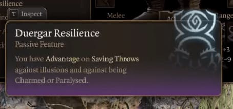 image-20230819225236127