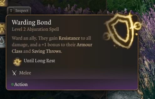 image-20230824231503680