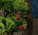 image-20200513214634791