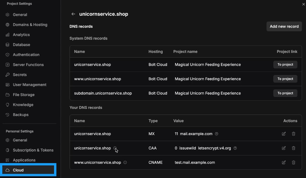 Screenshot of DNS records management screen within Cloud settings.