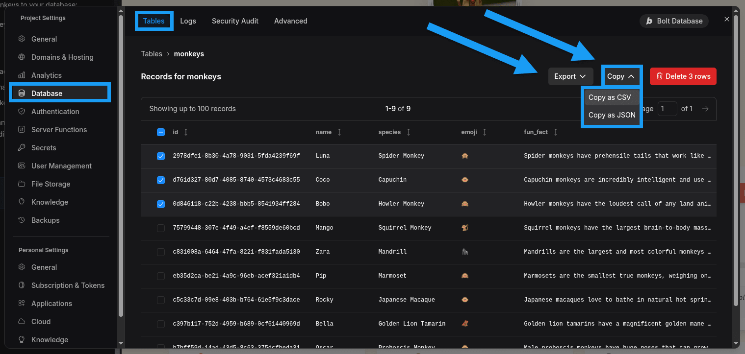 Screenshot of how to export table data in Database settings in Bol.