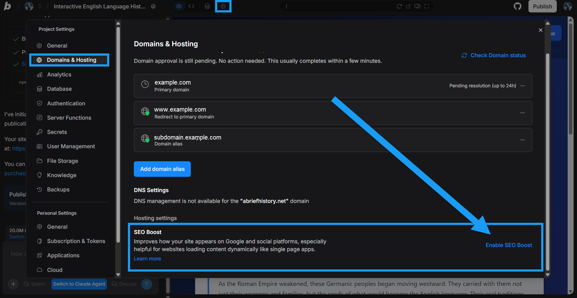 Screenshot of SEO Boost option in Domains & Hosting settings in Bolt.