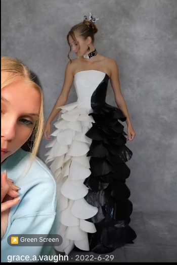 The Yin-Yang Ballgown — 143 Hours, 45 Rolls, 5 Million Views
