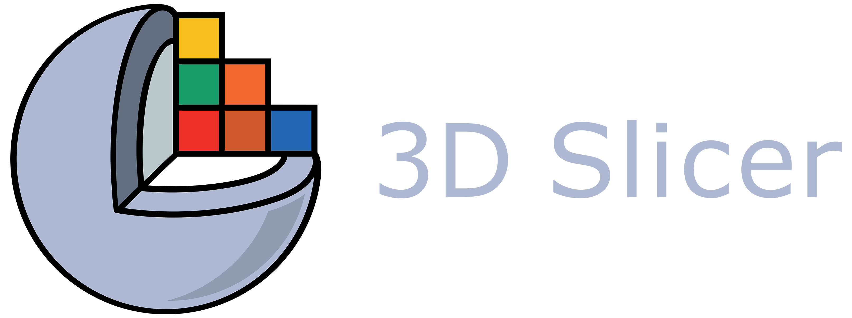 3D Slicer