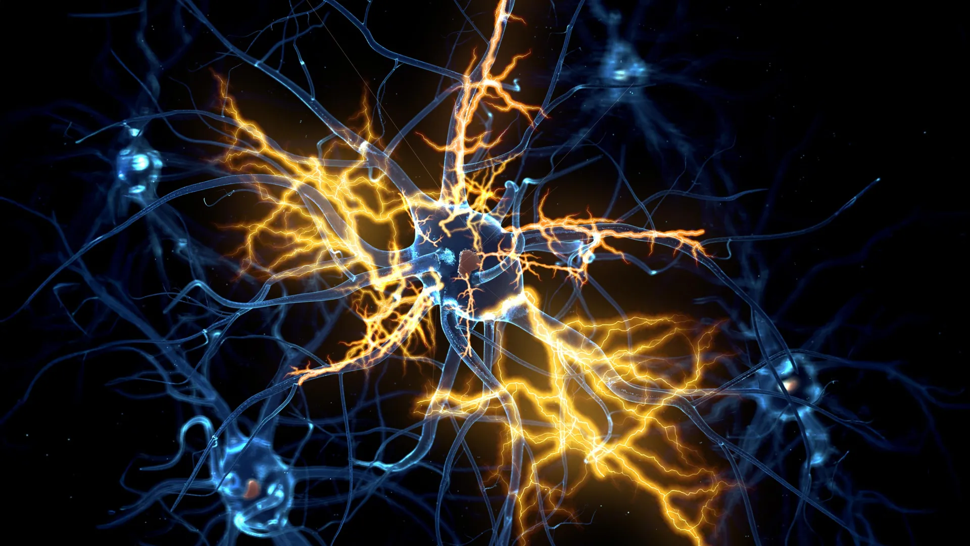 Cambridge researchers use human organoids to restore nerve regeneration