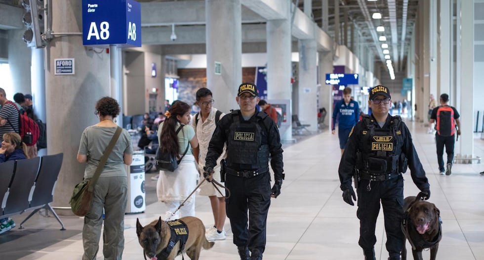 Cómo operan los perros antidrogas que refuerzan la seguridad en el nuevo aeropuerto Jorge Chávez y los principales puertos del Perú