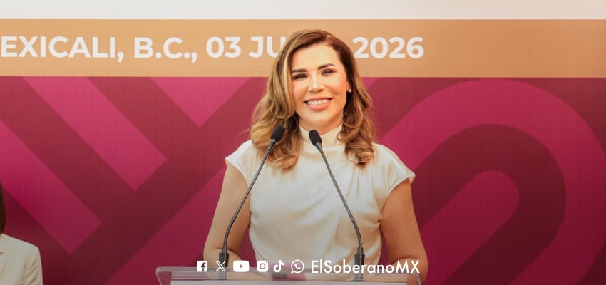 Baja California destaca crecimiento del sector agroalimentario con ingresos superiores a 23 mil millones de pesos