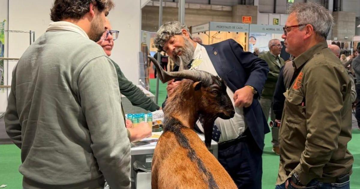 El vicepresidente del Consell de Mallorca justifica un gasto de 3.400 euros en un viaje para recoger un macho cabrío disecado