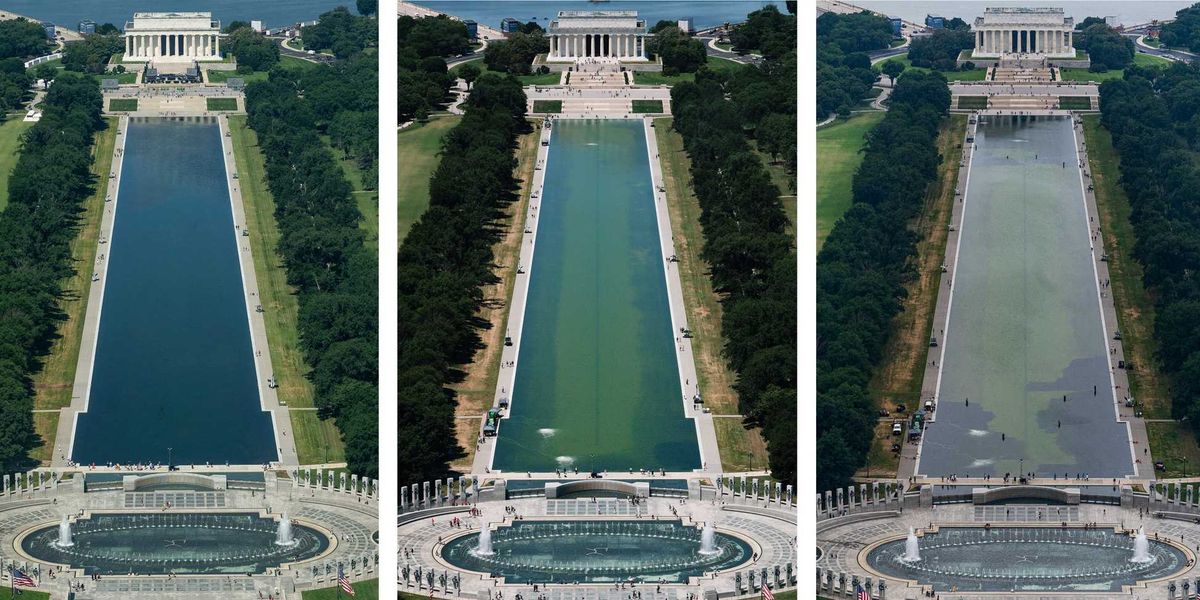 Washington Residents Criticize Lincoln Memorial Reflecting Pool Restoration After Algae Problems Emerge