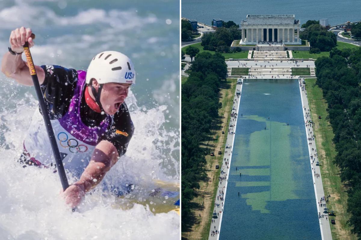 El exolímpico David Hearn es acusado de dañar una cubierta desprendida en el estanque reflectante del Monumento a Lincoln