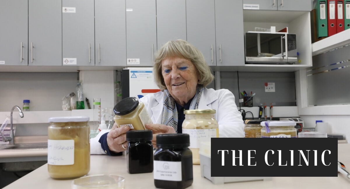 Investigación analiza propiedades antibacterianas y antioxidantes de mieles del Desierto de Atacama con potencial valor medicinal