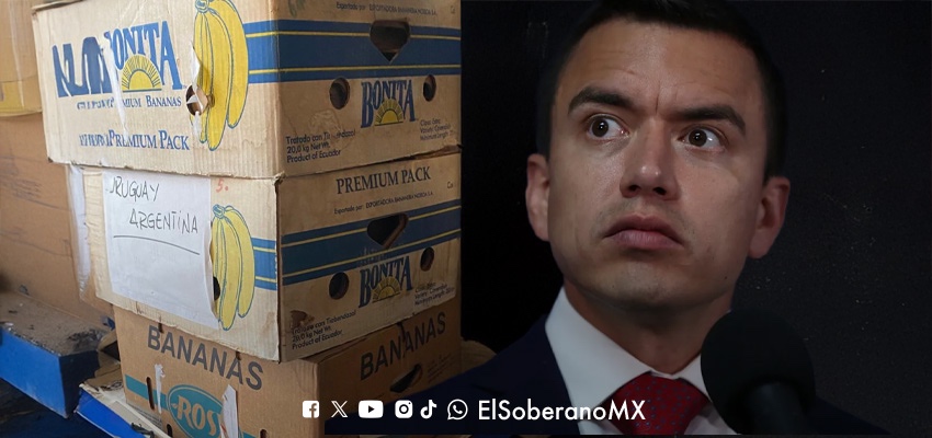 Autoridades turcas decomisan cocaína oculta en cargamento de bananos vinculado a empresa ecuatoriana