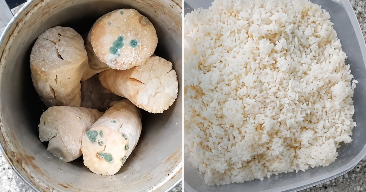 Cuban Woman's Spoiled Food Due to Power Outages Sparks Outcry Over Government Policies
