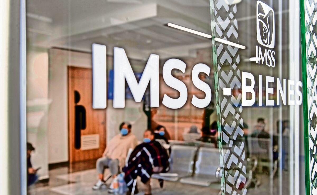 IMSS 2026: Guía para tramitar el Tarjetón Digital y sus beneficios
