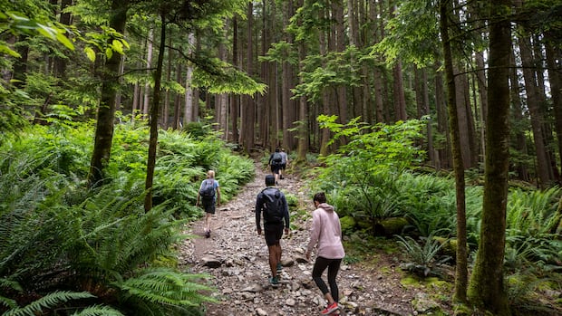 Metro Vancouver Regional Parks Workers Stage Indefinite Strike Over Contract Deadlock