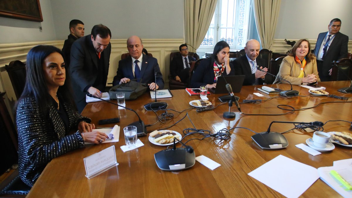 Megareform advances in Senate with key debate on environmental committee